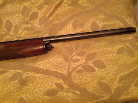 Escopeta Browning B-80 calibre 12

300€

Almadén (Ciudad Real) 12