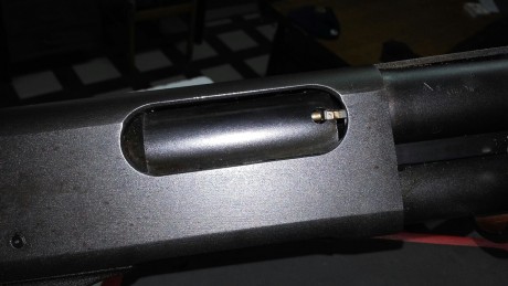 Hola.

Vendo escopeta Remington Expres Magnun, calibre 12/76, con dos cañones
de anima lisa, uno de 26" 100