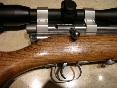 Pongo a la venta otra de mis JOYAS EDICIÓN ARMEROS USA, en concreto la CR160, el primer rifle de CO2 con 02
