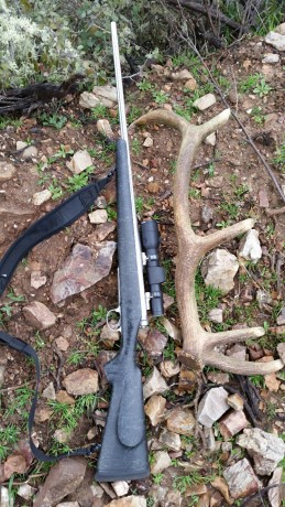 Se vende con gatillo Timney y medias monturas Leupold QR. No cambios ni rebajas, por favor.

Precio 1,800€ 00