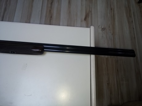 Se vende superpuesta Fbarm Delta calibre 20/70, cañones de 76 cm, expulsora, brileys serie 3 en ambos 01