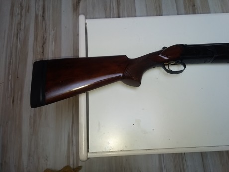Se vende superpuesta Fbarm Delta calibre 20/70, cañones de 76 cm, expulsora, brileys serie 3 en ambos 00