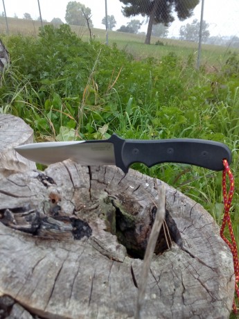 De momento es el único cuchillo de campo de estas dimensiones que tengo.Llevo dos años con él y sólo lo 21