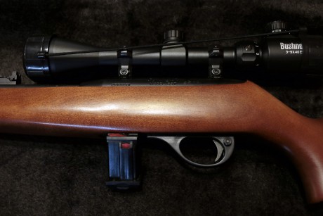 Hola, pues eso que vendo carabina Remington 597 del calibre 22 lr, de las buenas, las de madera. Está 11