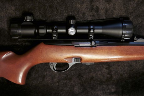 Hola, pues eso que vendo carabina Remington 597 del calibre 22 lr, de las buenas, las de madera. Está 10