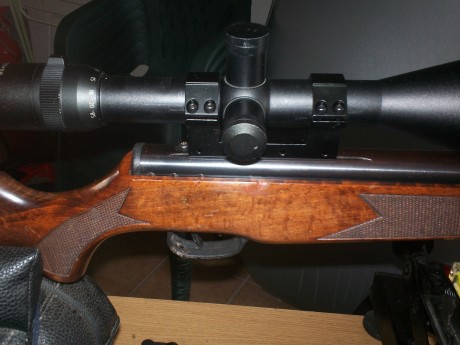 vendo norica marvic gold cal 5.5 en perfecto estado de funcionamiento,equipada con monturas monopieza 01