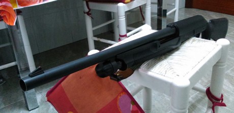 por inicio de nueva aficion,cambio mi benelli nova por superpuesta de plato de 75cms de cañon con una 01