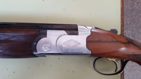 Hola compañeros. Tengo la oprotunidad de adquirir un Breda Vega Special trap. He oido decir que tiene 00