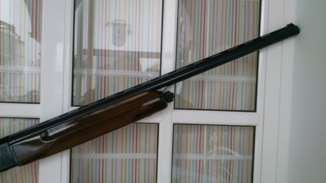 Hola a todos: pues eso, que vendo una estupenda escopeta semiatomatica Beretta A 301, una de los mejores 02