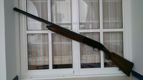 Hola a todos: pues eso, que vendo una estupenda escopeta semiatomatica Beretta A 301, una de los mejores 10