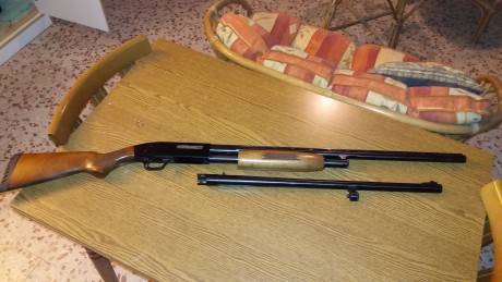 Hola. Cambio en Madrid una Mossberg 500a con cañon liso de 71cm con rosca para polichokes y un choke de 02