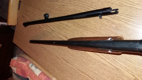 Hola. Cambio en Madrid una Mossberg 500a con cañon liso de 71cm con rosca para polichokes y un choke de 01