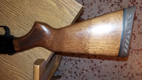 Hola. Cambio en Madrid una Mossberg 500a con cañon liso de 71cm con rosca para polichokes y un choke de 00