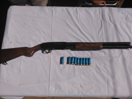 Escopeta de corredera,en muy buen estado,cañon de 50 cm ,capacidad para 8 cartuchos,calibre 12,
350 euros 02