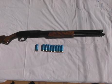 Escopeta de corredera,en muy buen estado,cañon de 50 cm ,capacidad para 8 cartuchos,calibre 12,
350 euros 01