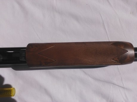 Escopeta de corredera,en muy buen estado,cañon de 50 cm ,capacidad para 8 cartuchos,calibre 12,
350 euros 00