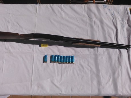 Escopeta de corredera,en muy buen estado,cañon de 50 cm ,capacidad para 8 cartuchos,calibre 12,
350 euros 20