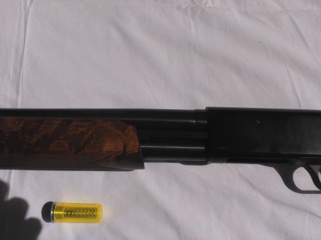 Escopeta de corredera,en muy buen estado,cañon de 50 cm ,capacidad para 8 cartuchos,calibre 12,
350 euros 61