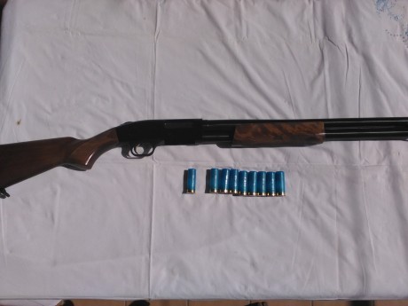 Escopeta de corredera,en muy buen estado,cañon de 50 cm ,capacidad para 8 cartuchos,calibre 12,
350 euros 60