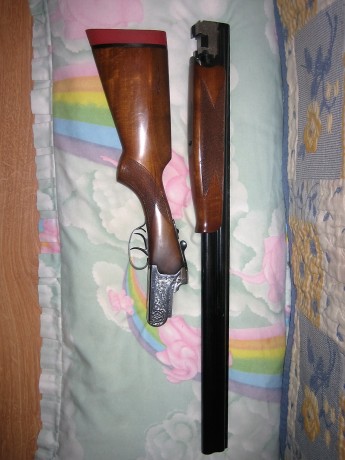 Hola.  Vendo superpuesta Lanber de choques fijos 1 y 3 estrellas, cañón de 71cm, dos gatillos no expulsora. 20