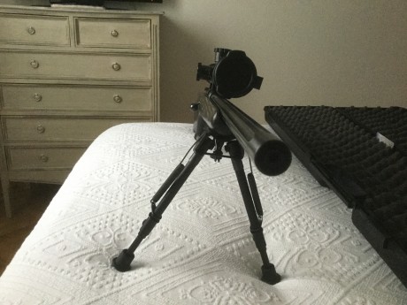 Nueva, impecable  casi sin uso, muy precisa. Se vende sola por 500 euros, con visor Mueller y Bipode Harris 01
