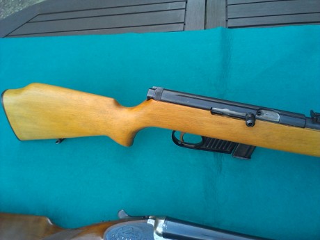 vendo rifle santa barbara 300wm, carabina semiautomatica .22 y carabina tauler historica .22 monotiro,
el 01