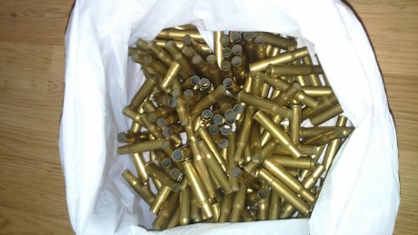 Vendo Dies Rcbs del 30-30 +187 Vainas Winchester con una única recarga (ese es todo el uso que tienen 01
