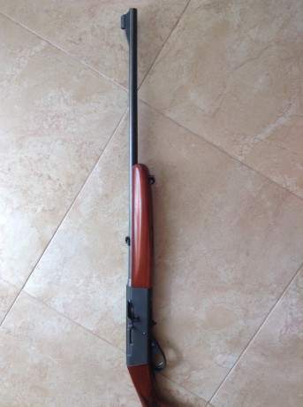 En venta carabina semiatomática marca Anschutz en calibre 22lr en  perfecto estado, tanto de funcionamiento 01