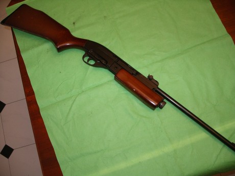 En venta carabina Gamo G1200 de CO2, sin restaurar, conmarcas de uso pero en estado de funcionamiento.

Precio 02