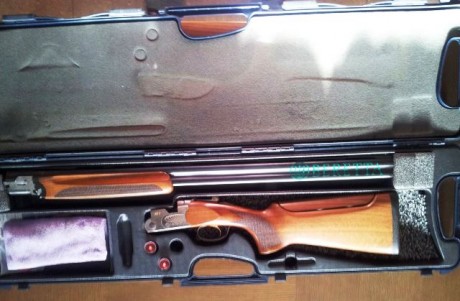 Un amigo vende su Beretta 686 E de plato.
Está como nueva. 
Cañón de 76, choques fijos de 2 y 1 estrella, 02