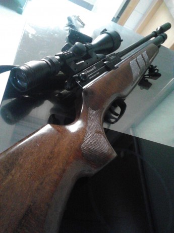 Vendo un ejemplar de Bsa Buccaner en calibre 5.5 de estricta serie y sin experimentos, se incluye visor 10