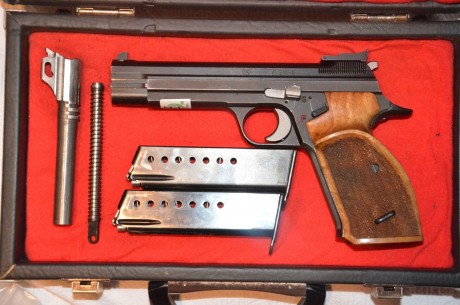 Vendo SIG P10-6 de 5 pulgadas en el siguiente precio:

Pistola SIG-P210-6 con cachas de madera Knill 1600 00