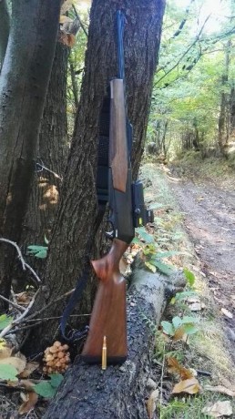 Que rifle es mejor para batidas sauer 303 o Browning 20