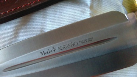 REBAJADO MUELA SERREÑO EN ASTA, el precio 60 € con envio incluido.SE PUEDE 01