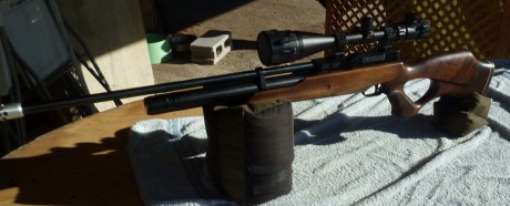 Hola!

Vendo carabina HW100 de 5,5 Con los siguientes complementos:

Difusor / Silenciador (La deja muda 02