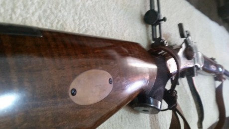 vendo sharp 45-70 de pedersoli
modelo old west maple
con dies
 recalibrador 0´457
y vainas por 1300€
esta 20