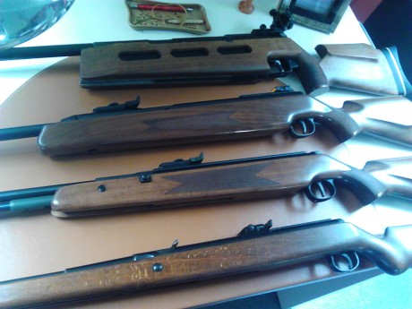Hace poco vendí la carabina que tenía, y ahora tengo que elegir entre dos modelos.

El problema es que 62