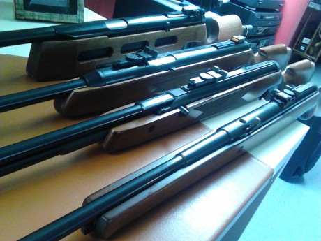 Hace poco vendí la carabina que tenía, y ahora tengo que elegir entre dos modelos.

El problema es que 60