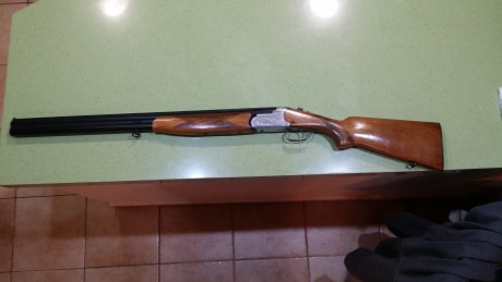 Hola amigos.
Acabo de comprar una escopeta superpuesta LANBER y querría ayuda para saber que modelo es
subo 11