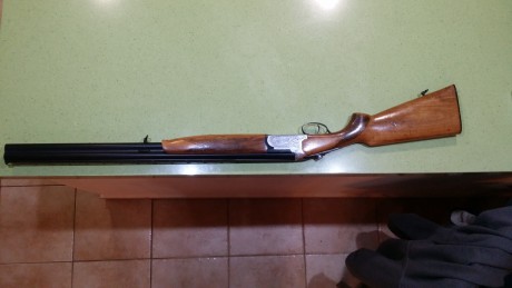 Hola amigos.
Acabo de comprar una escopeta superpuesta LANBER y querría ayuda para saber que modelo es
subo 10
