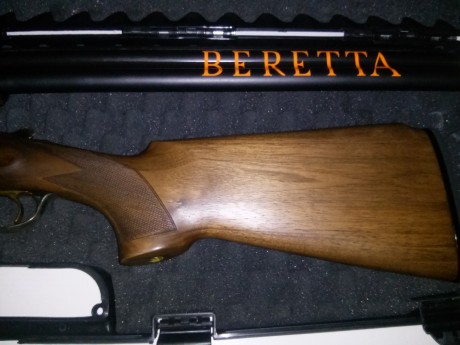 Vendo beretta 686 silver pigeon de plato **/* chokes fijos y 76 de cañón.
El estado de la escopeta es 10