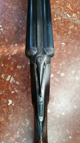 Vendo escopeta de caza de cañones paralelos. Calibre 16. Cañón de 75 cm de longitud. Doble gatillo.
Marca 01