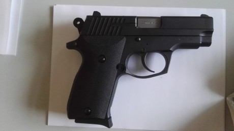 Hola muy buenas compañeros.

Estoy en la búsqueda de alguna pistola monohilera del calibre 9 mm, de poco 30