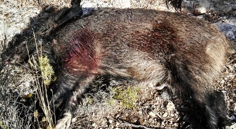 Senik, con tu permiso, copio las normas del hilo anterior.

LOS ALMUERZOS DE CAZA MENOR NO CUENTAN Y LOS 40
