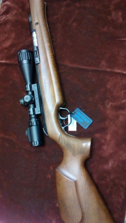 Saludos mi amigo luis,dueño de armeria san miguel vende este conjunto nuevo con su garantia.490 €es el 01