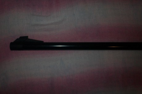 vendo carabina gamo G1200 Magnun en perfecto estado.tiene un par de arañazos y un pequeño golpecito en 10