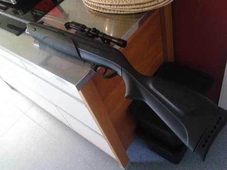 Hola, pues eso cambio una gamo extreme en cal. 5.5 funcionando bien por gamo statical,weihrauch hw50 o 01