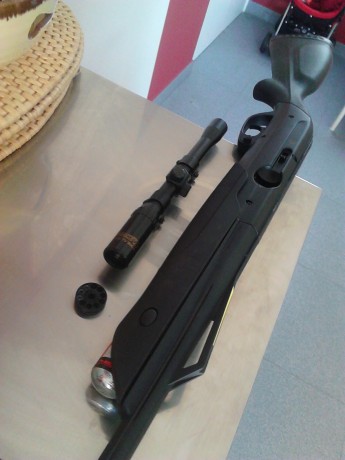 Hola, pues eso cambio una gamo extreme en cal. 5.5 funcionando bien por gamo statical,weihrauch hw50 o 00