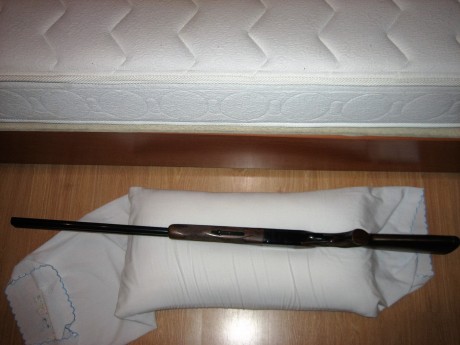 Hola.  Vendo escopeta superpuesta, de 74cm. de cañón, expulsora,  choques fijos de una y dos estrellas, 22