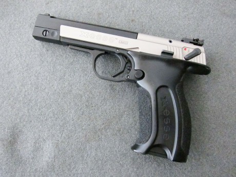 Estoy pensando comprar una pistola del .22lr para plinkear, como dicen allende los mares, pero no me decido. 30